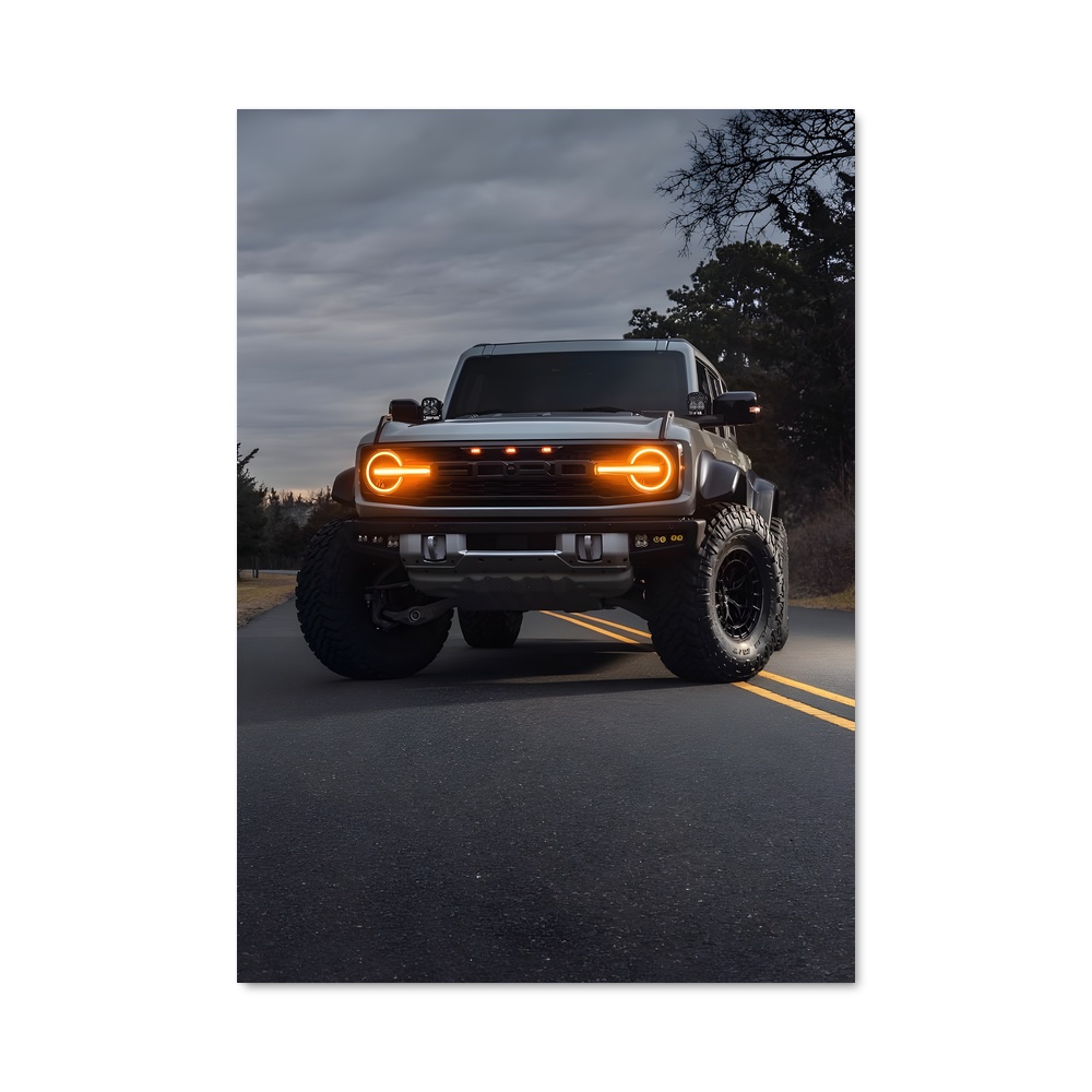 Poster Raptor Noir